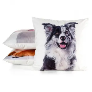 Obliečka na vankúš ANIMAL 77 biela / čierna