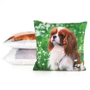 Obliečka na vankúš ANIMAL 74 zelená / biela