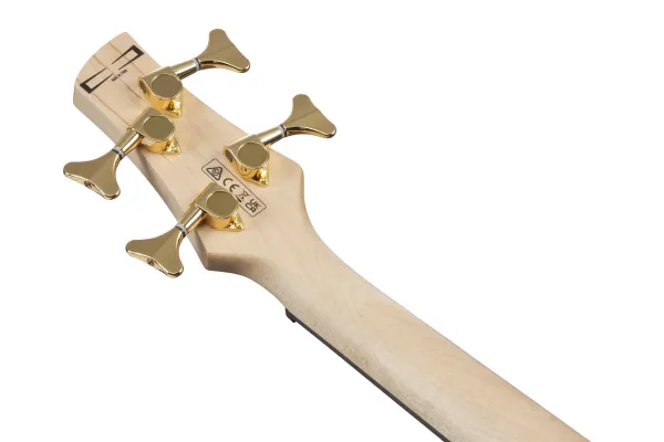Ibanez GSR200PC TPB