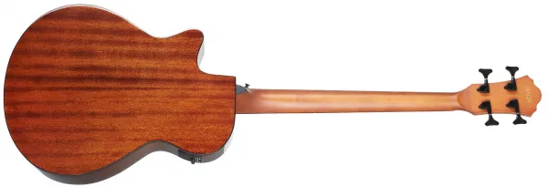 Ibanez AEGB24E-MHS