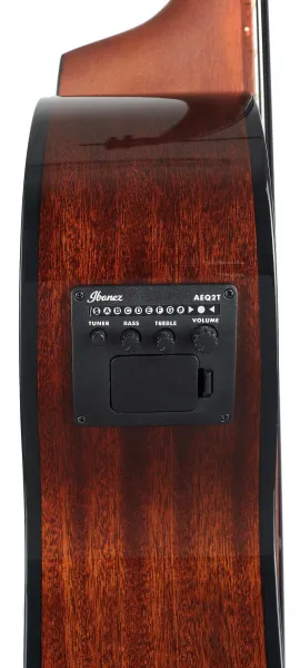 Ibanez AEGB24E-MHS