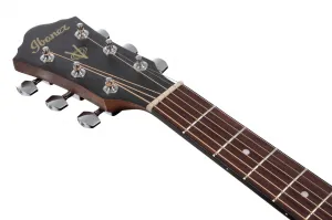Ibanez V40CE OP NAT