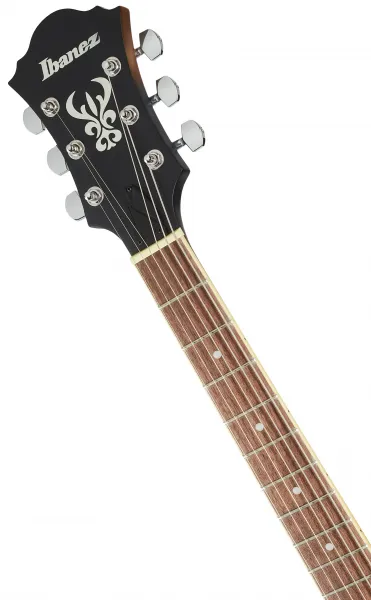 Ibanez AF55L-TF