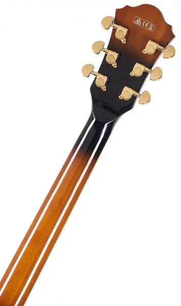 Ibanez AS93FM-VLS