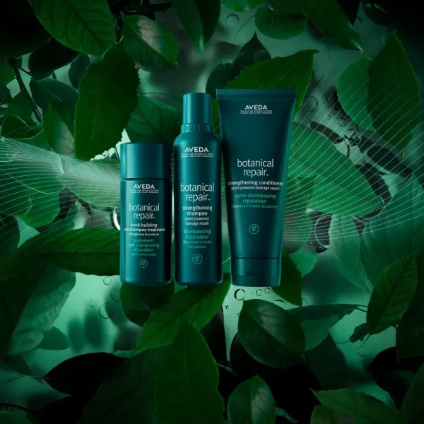 Aveda Botanical Repair™ Pre-Shampoo pred-šampónová starostlivosť pre poškodené vlasy 150 ml