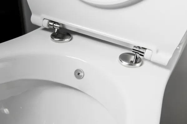 SAPHO - KAIRO CLEANWASH WC kombi s bidetovou sprškou, zadný odpad, splachovací mechanizmus PC106