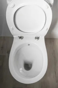 SAPHO - KAIRO CLEANWASH WC kombi s bidetovou sprškou, zadný odpad, splachovací mechanizmus PC106