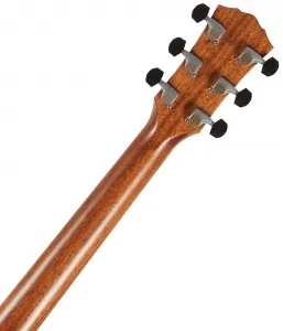 Taylor Gold Label 814e