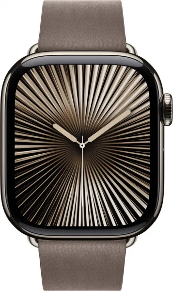 Apple Watch Acc/42/Dark Taupe Modern Buckle - Small