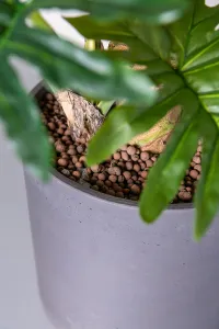 Realistická umelá rastlina Filodendron - Pottery Pots