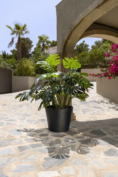 Realistická umelá rastlina Monstera, viac veľkostí - Potterypots Velikost: L - v. 120 cm