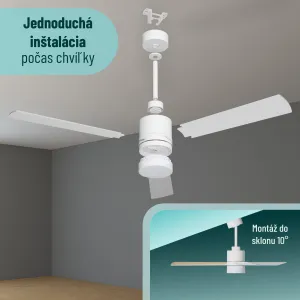Noaton 14132WWL Canis, biela a svetlo hnedá, stropný ventilátor so svetlom