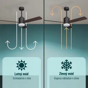 Noaton 14132BBD Canis, čierna a tmavé drevo, stropný ventilátor so svetlom