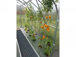 Zahradní skleník Gardentec STANDARD 2 x 2,5 m GU4294488