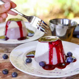 Tescoma Formičky na panna cottu nehrdz. GrandCHEF, 4 ks