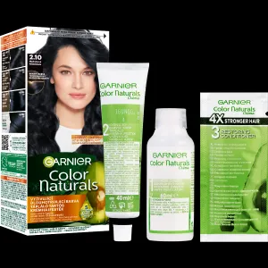 Garnier Color Naturals Creme farba na vlasy odtieň 2.10 Blueberry Black 1 ks