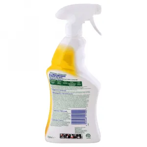 Dettol dezinfekčný čistič Limetka a citrusy 750 ml