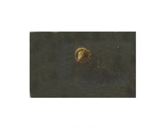 Odznak SLOVENSKO vlajka 2,1x1,3cm - zlatý