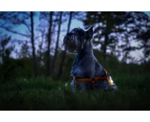 Svietidlo multifunkčné ARMYTEK Zippy - grey