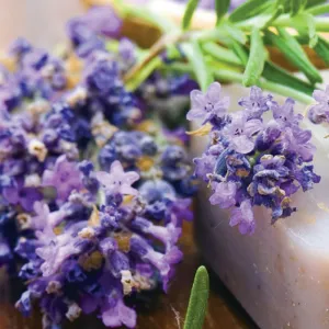 Hĺbkovo čistiace mydlo s organickým levanduľovým olejom Lavender 100g