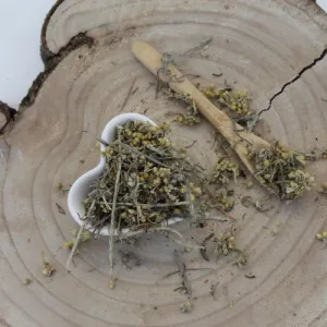 Slamienka talianska - vňať narezaná - Helichrysum italicum - Herba helichrysi Emerosa 50 g