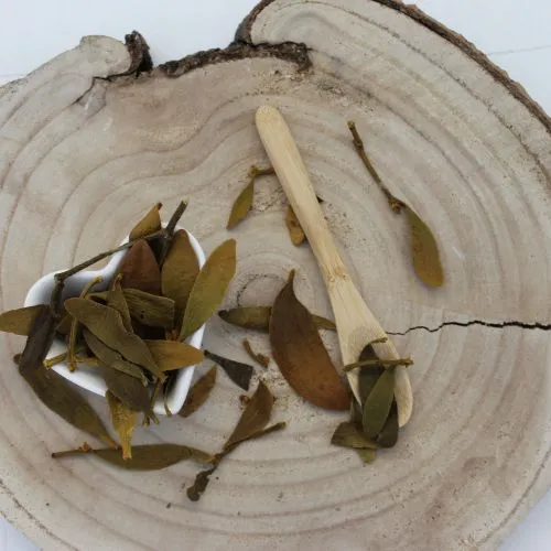 Imelo biele - vňať narezaná - Viscum album - Herba visci albi Emerosa 50 g
