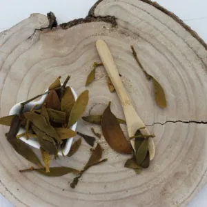 Imelo biele - vňať narezaná - Viscum album - Herba visci albi Emerosa 50 g