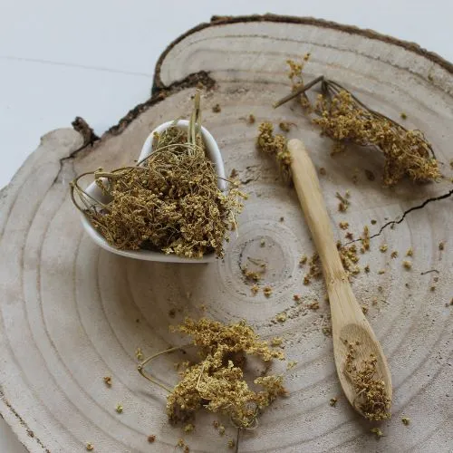 Alchemilka obyčajná -  vňať narezaná - Alchemilla vulgaris - Herba alchemillae Emerosa 1000 g