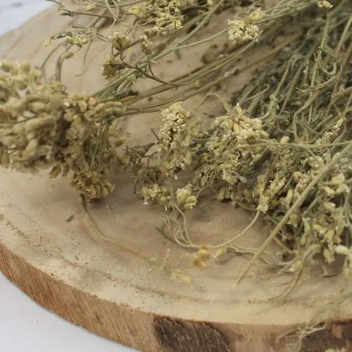 Rebríček obyčajný - kvet celý - Achillea millefolium - Flos millefolii Emerosa 50 g
