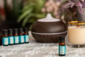 Esenciálny olej Eukalyptus Venoc 10ml