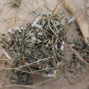 Nátržník strieborný - vňať celá - Potentilla argentae - Herba potentillae argentii Emerosa 50 g