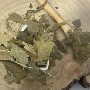 Ginko dvojlaločné - list celý - Ginkgo biloba - Folium ginkgo Emerosa 50 g