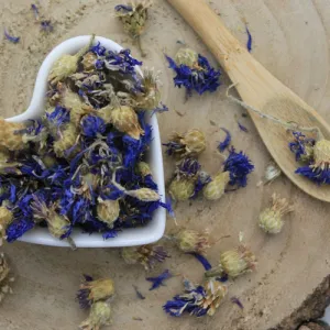Nevädza poľná modrá - kvet celý - Centaurea cyanus - Flos cyani Emerosa 50 g