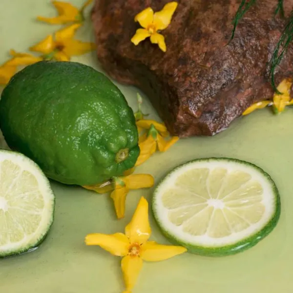 Prírodný šampón a telové mydlo 2v1 ATTITUDE Super leaves Essentials - Bergamot a Ylang 473ml