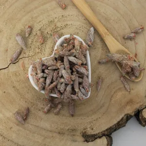 Borovica lesná - výhonky celé - Pinus sylvestris - Turio pini sylvestris Emerosa 50 g