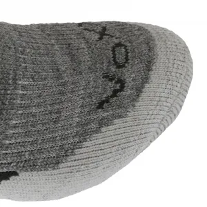 Turistické ponožky VOXX 1 PACK-Treking Light grey