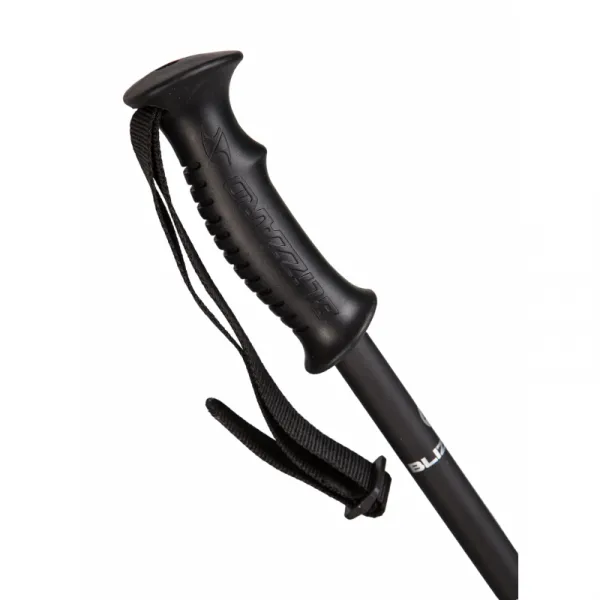 Lyžiarske palice BLIZZARD Rental ski poles