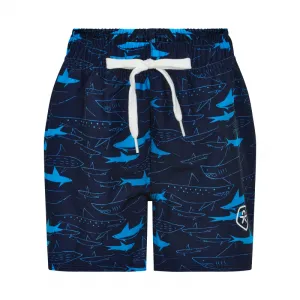 Chlapčenské plavky COLOR KIDS Swim shorts short AOP-dress blues