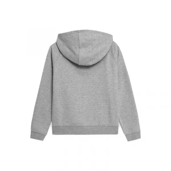 Dievčenská mikina s kapucňou 4F JUNIOR GIRLS SWEATSHIRT JBLD002-25M-GREY MELANGE