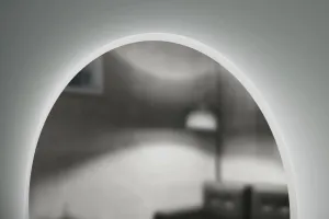 HOPA - Zrkadlo s LED osvetlením BEBRA - Priemer - 80 cm OLNZBEB80