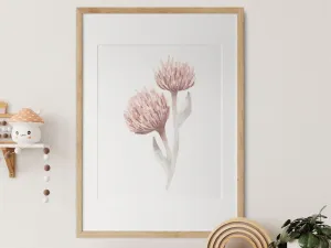 Plagát do detskej izby JETEL LUČNÍ Zvoľte rozmer: 20 x 30 cm