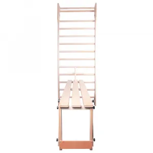 inSPORTline Steadyline Bench