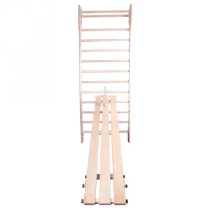 inSPORTline Steadyline Bench