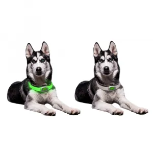 inSPORTline Petsaber Maxi