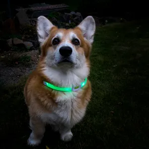 inSPORTline Petsaber Maxi