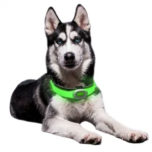 inSPORTline Petsaber Maxi