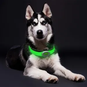 inSPORTline Petsaber Maxi