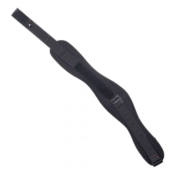 inSPORTline Stronglift S