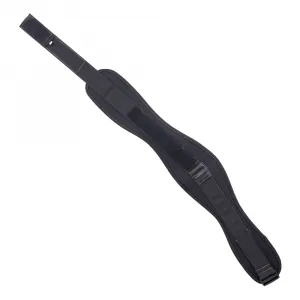 inSPORTline Stronglift S