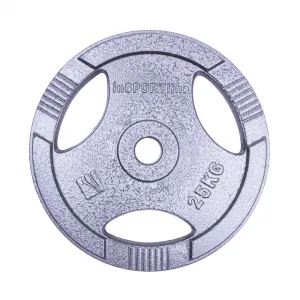 inSPORTline Hamerton 25 kg